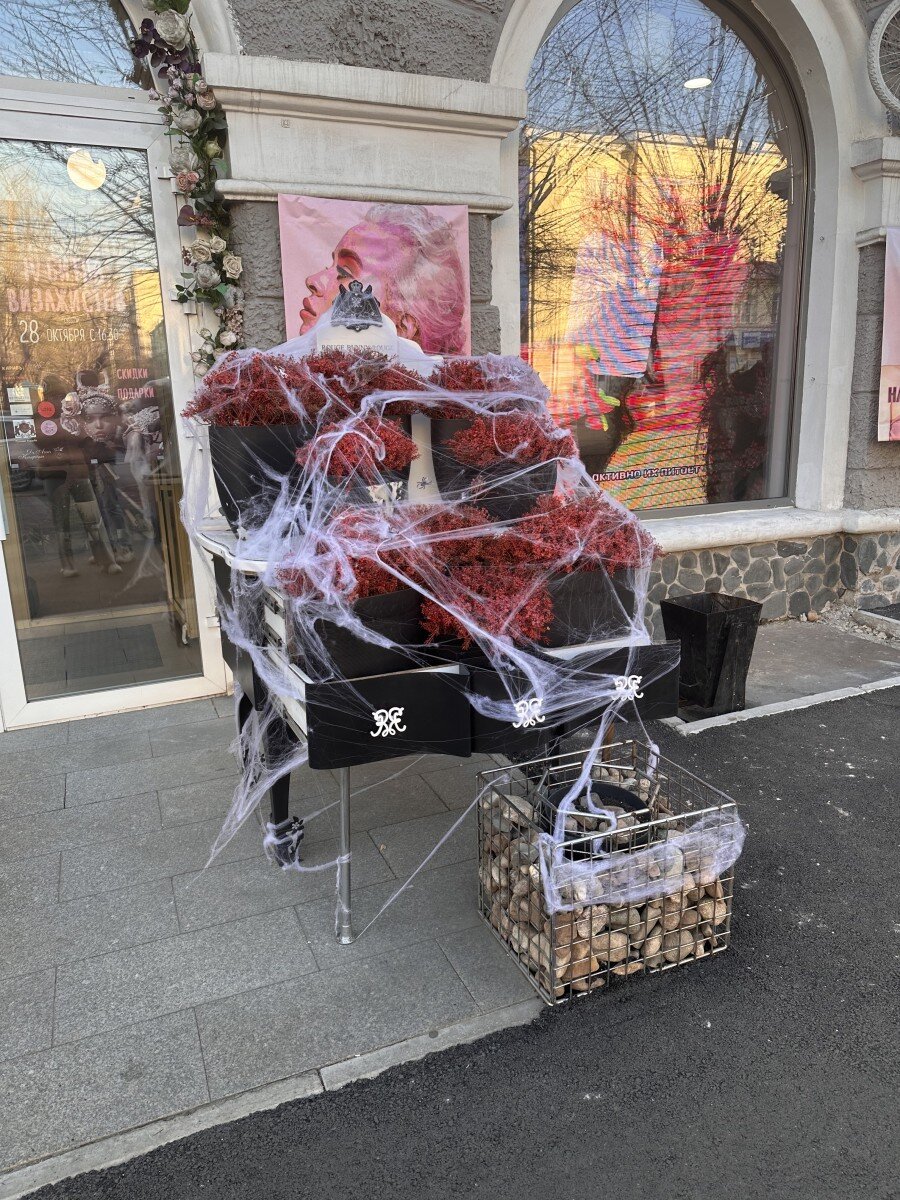 Фото: Елизавета Прокопенко