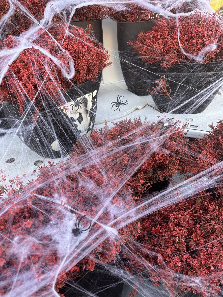 Фото: Елизавета Прокопенко