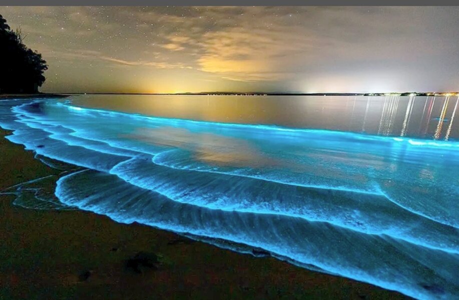 Фосфоресценция (фото взято из свободного доступа в Интернете) 