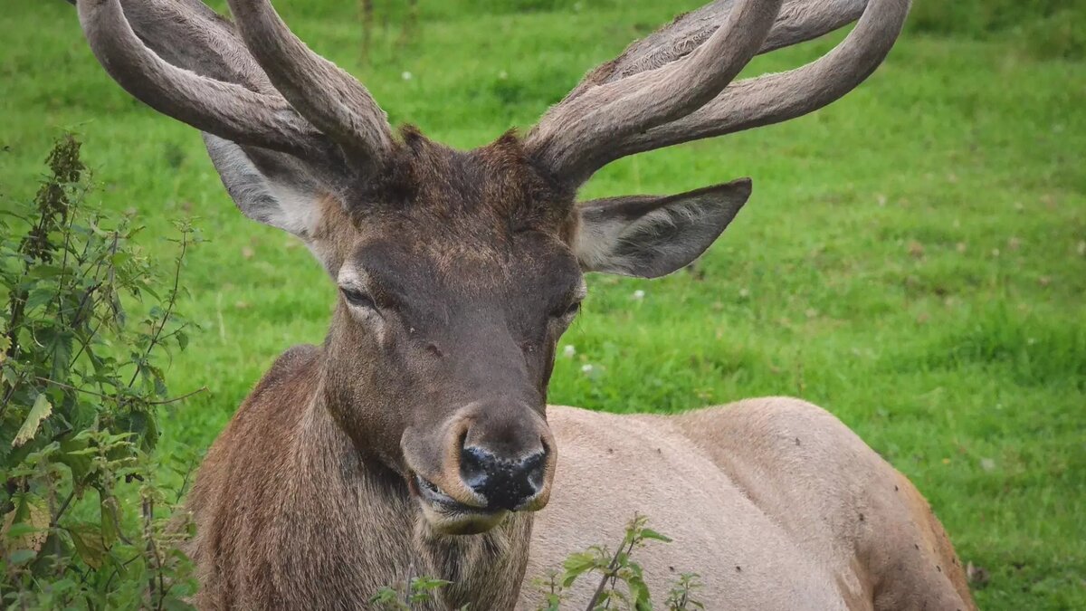     Минприроды Ставропольского края обязали включить в границы природного заказника участок земли, сообщили в региональной прокуратуре.