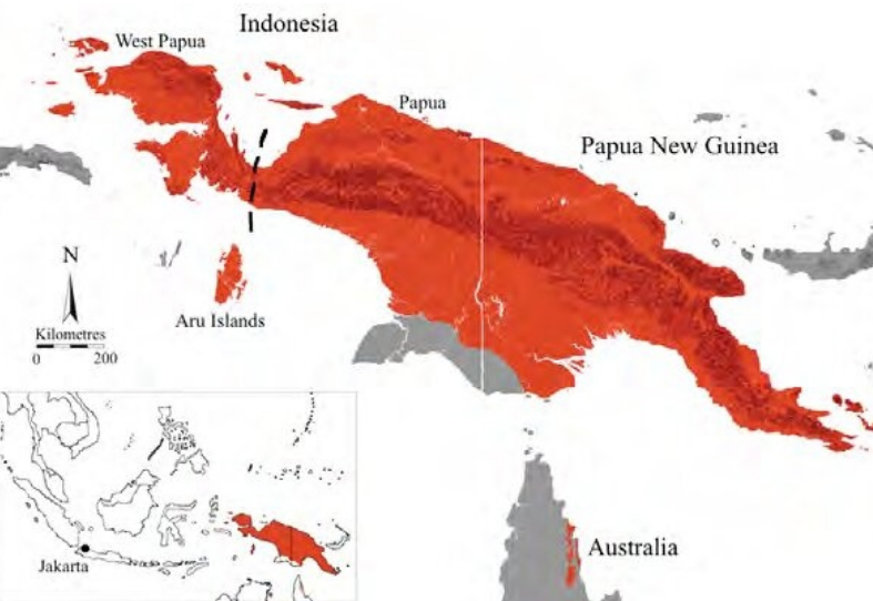 Распространение зеленого питона, Morelia viridis, (выделено красным). Остров Новая Гвинея политически разделен между Папуа-Новой Гвинеей (восточная половина Новой Гвинеи) и Индонезией (западная половина Новой Гвинеи, представленная провинциями Западное Папуа и Папуа). Острова Ару биогеографически являются частью острова Новая Гвинея, но политически частью индонезийской провинции Малуку (Allison 2007)