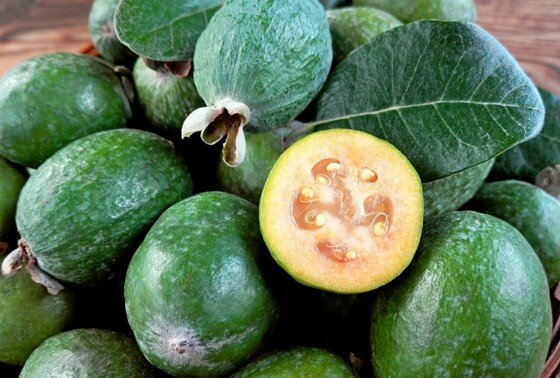    Фейхоа: польза и вред