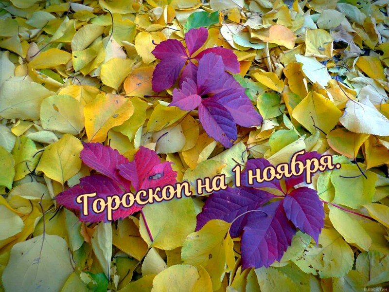Гороскоп на 1 ноября