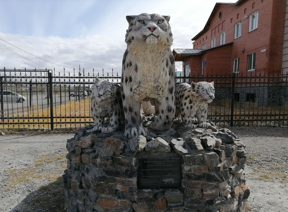 Это памятник снежного барса - ирбиса в Кош-Агаче, редкого краснокнижного животного. Здесь мать с двумя детенышами - они были убиты браконьерами