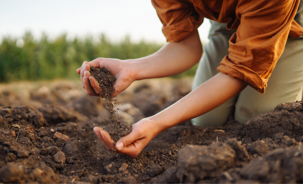 ПФАС негативно влияют на структуру, функции почвы и микробные процессы в ней Изображение: © maxbelchenko / Shutterstock / FOTODOM