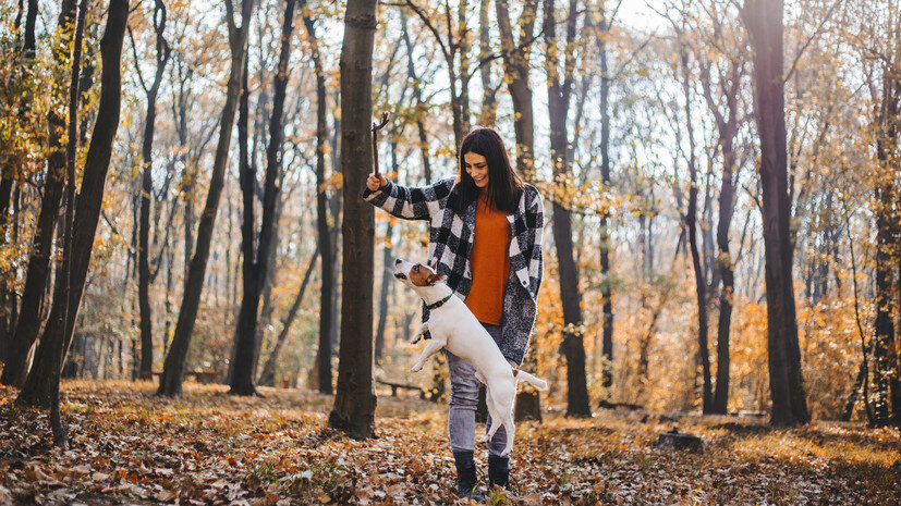   Gettyimages.ru Obradovic
