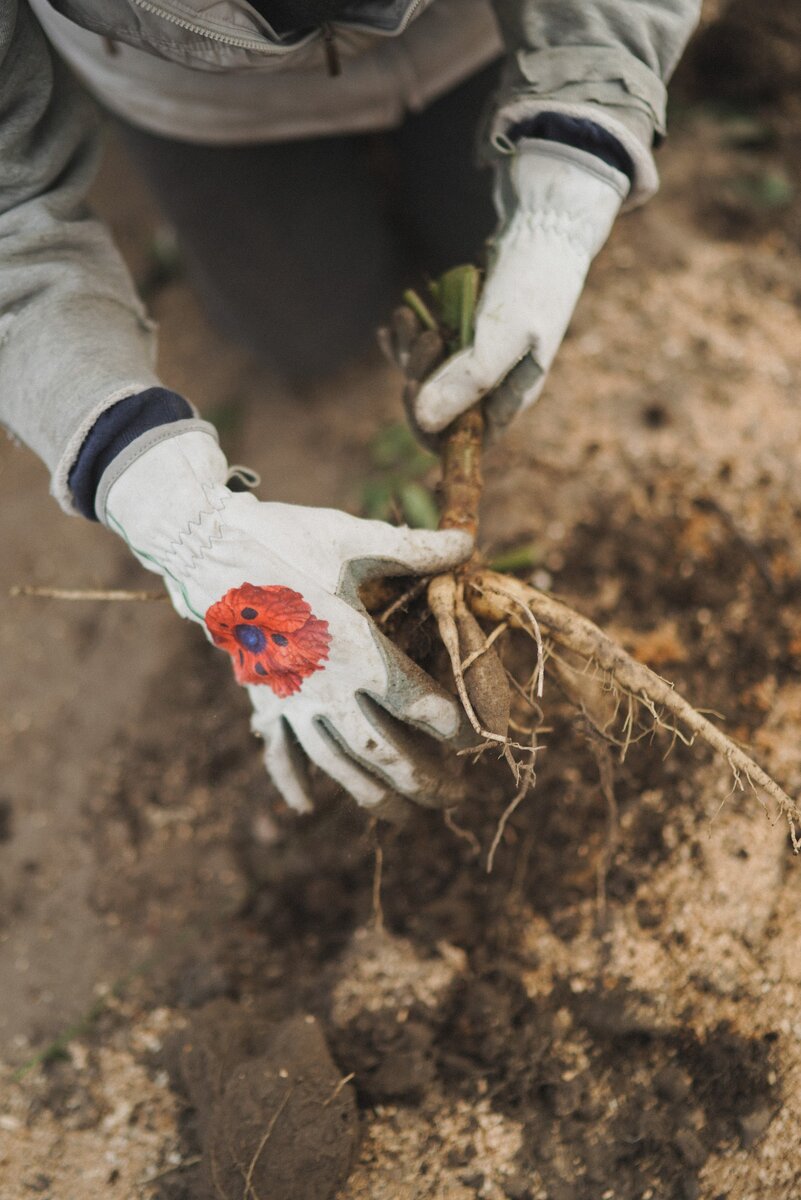 Фото Беличевой Варвары