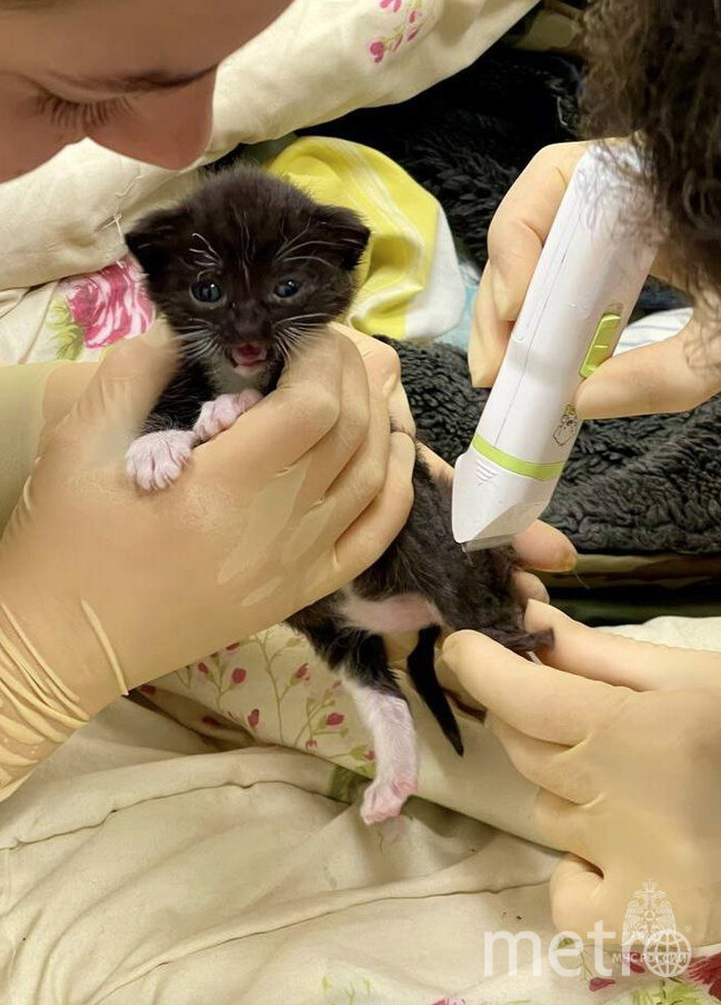    Фото: Telegram-канал МЧС Санкт-Петербурга.