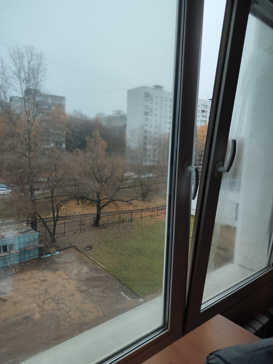 Вид из окна кафедры. Снега снова нет. Да и листья ещё даже не все с деревьев облетели.