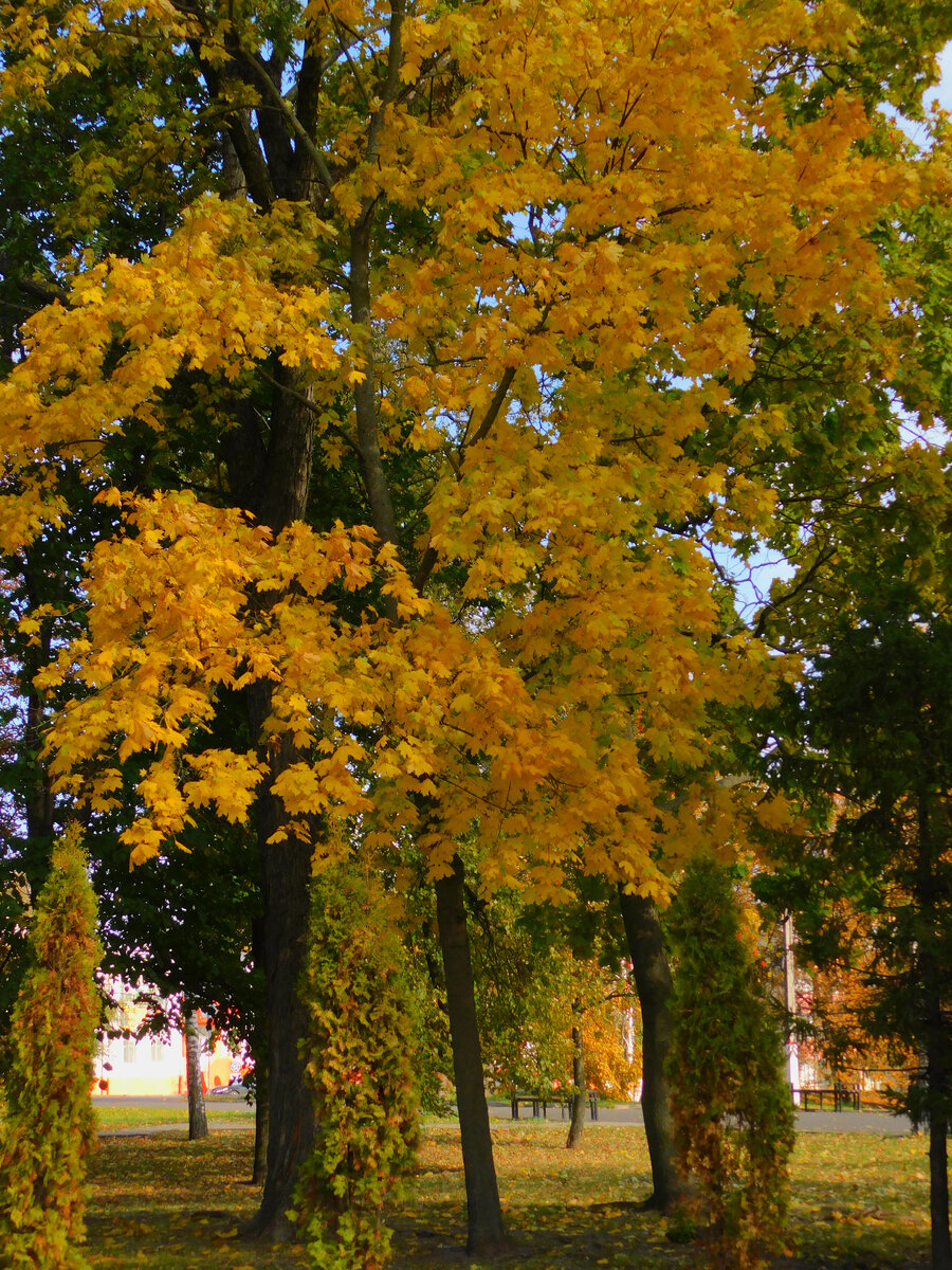 Фото автора канала