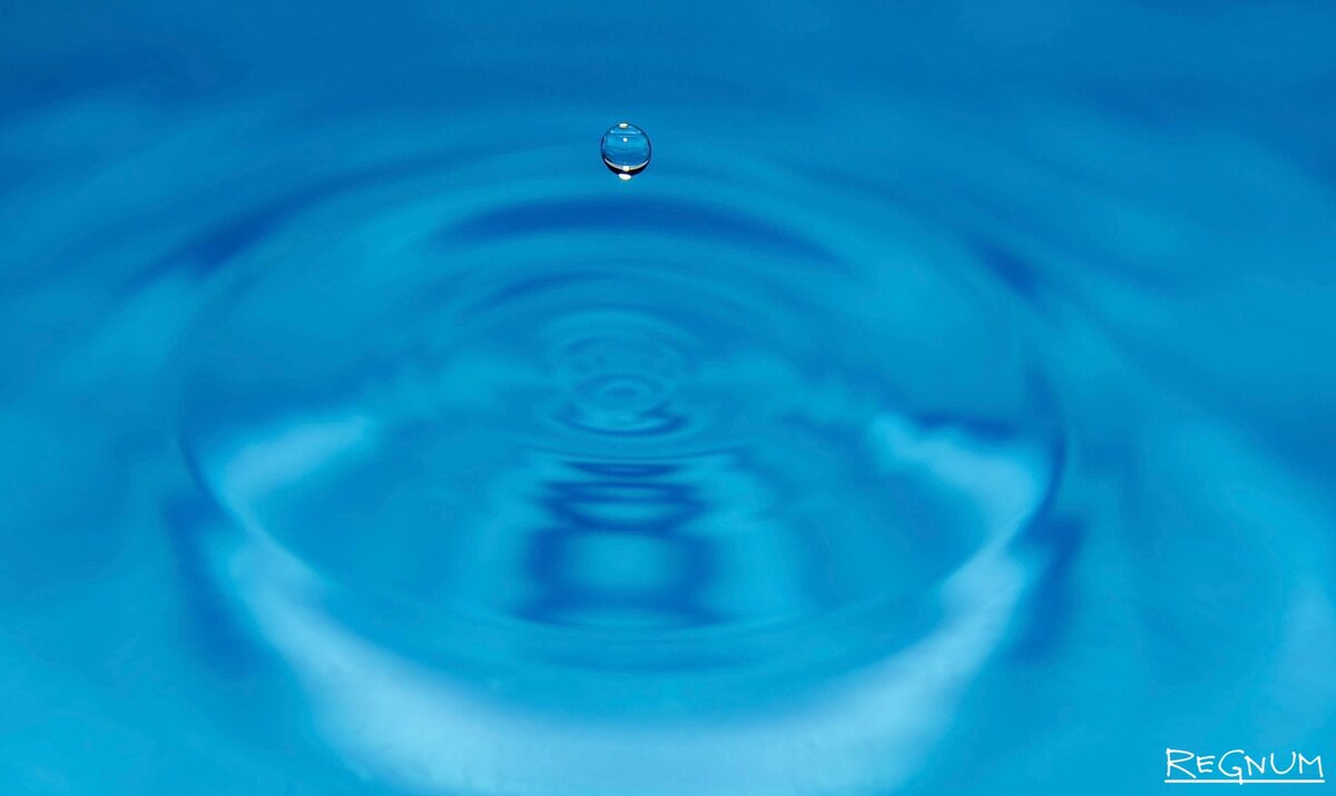    Дарья Антонова © ИА Регнум