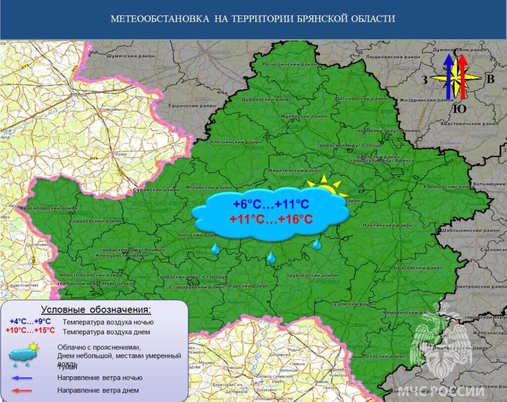 В Брянской области 1 ноября ожидаются рекордные +16 градусов | Брянская  губерния | Дзен