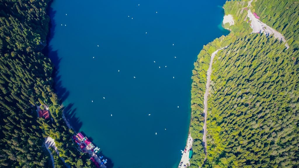    Фото: freepik.com writ2