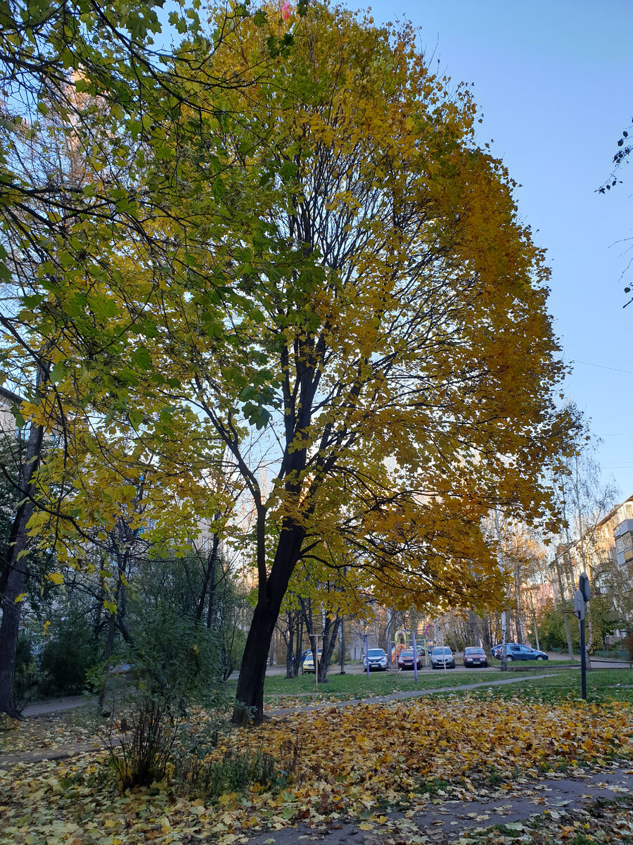 Фото автора