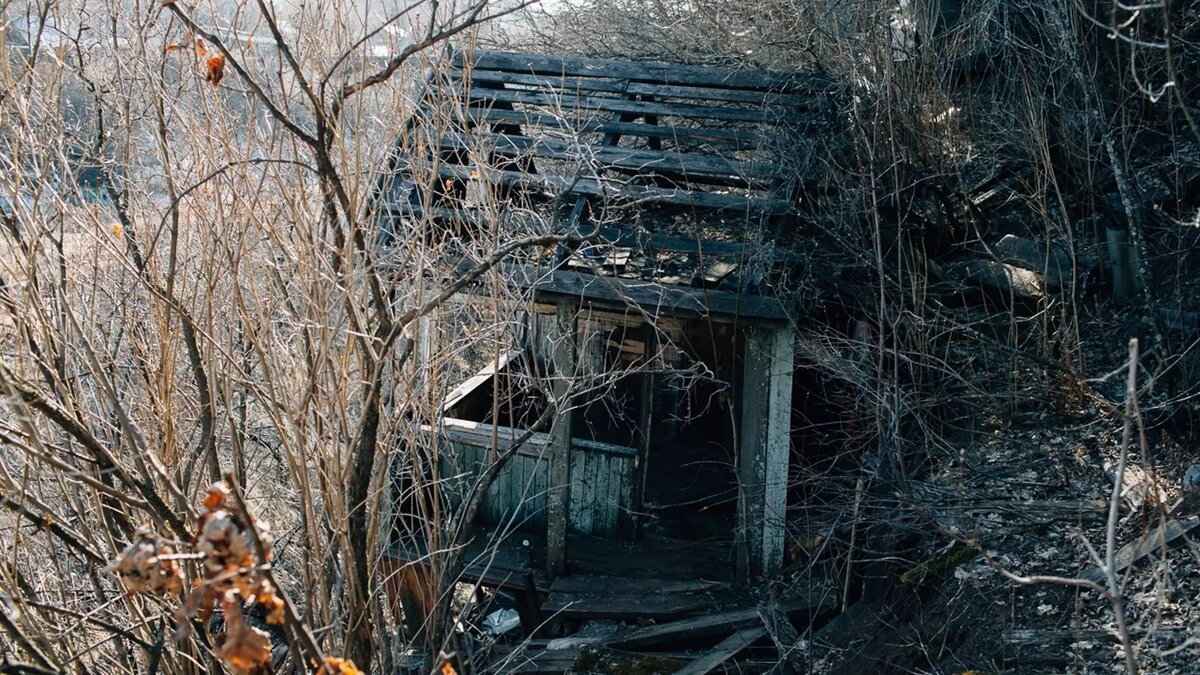     Нижегородская область может удивить каждого туриста своими мистическими местами. В одних люди могут испытывать галлюцинации, а в других — рискуют и вовсе погибнуть. NewsNN составил список таких мест, посещение которых вызывает мурашки.