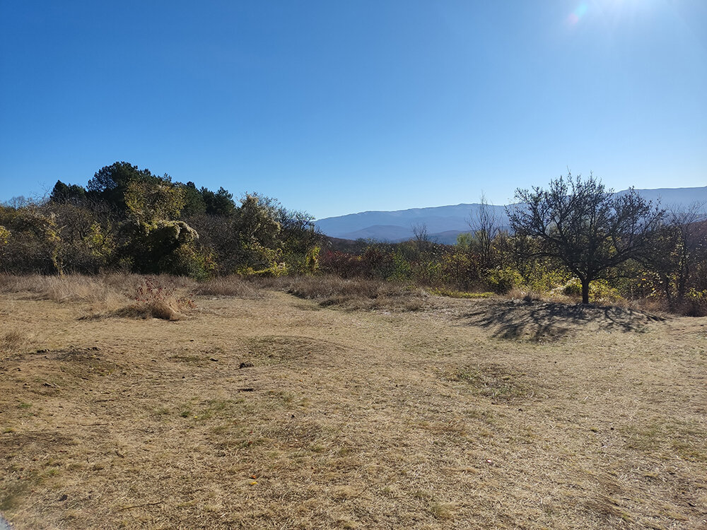 В последний день октября погода стоит превосходная.