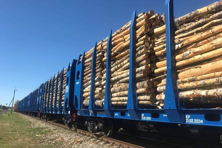 Фото из открытых источников.