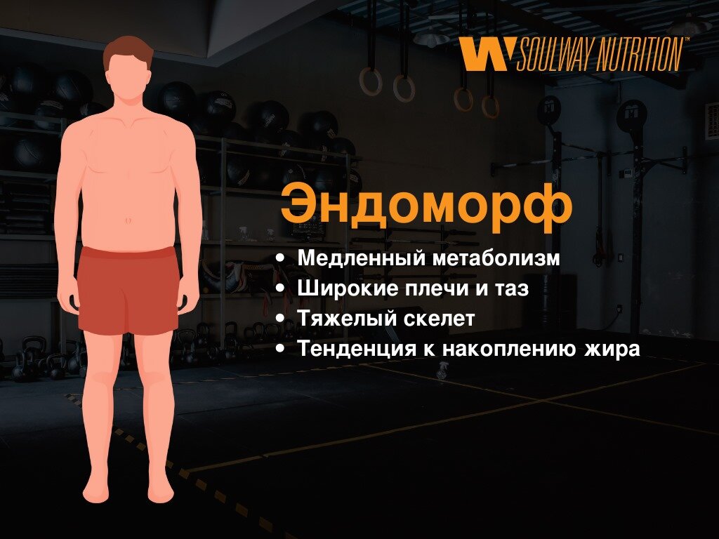 Эндоморфы: широкая кость со склонностью к набору жира