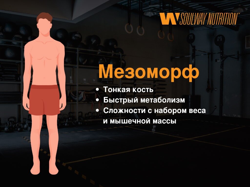Эндоморф, эктоморф, мезоморф — на примере известных актеров. Как влияет ...