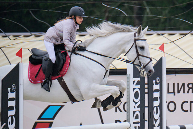    У 11-летней Ксении Куцак третий взрослый разряд по конноспортивному спорту и множество наград