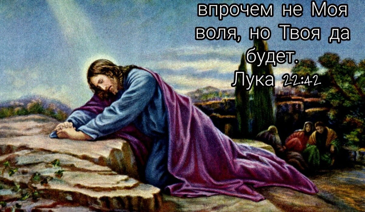 Воли христа. Да будет Воля твоя. Не моя Воля но твоя Господи. Господи да будет Воля твоя Святая. Буди Воля Божия.