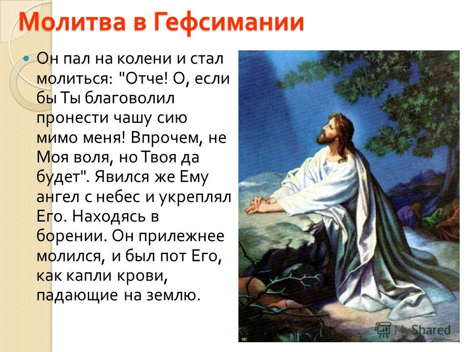 Гефсиманский сад молитва Иисуса. Моление Христа в Гефсиманском саду. Молитва Иисуса Христа в Гефсиманском саду. Молитва Иисуса Христа в Гефсиманском саду текст.