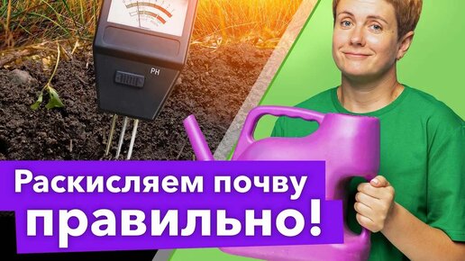 Кислая почва станет плодородной! Вот чем и как раскислить почву осенью и весной правильно