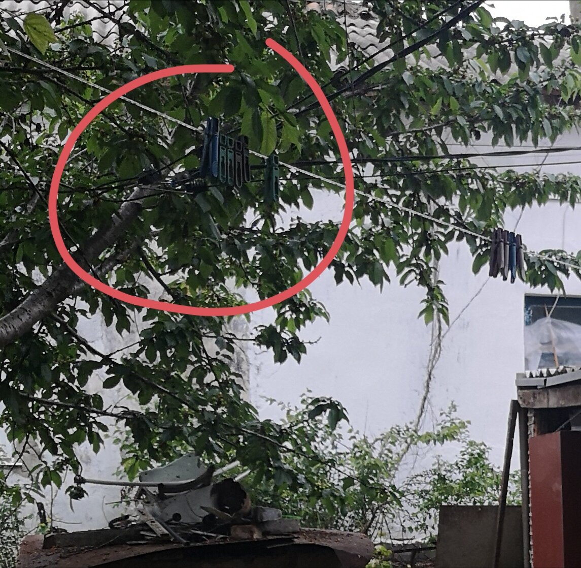 Хорошо видно, что провод от столба идёт через ветку