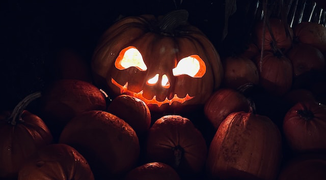 https://unsplash.com/@emilia4505