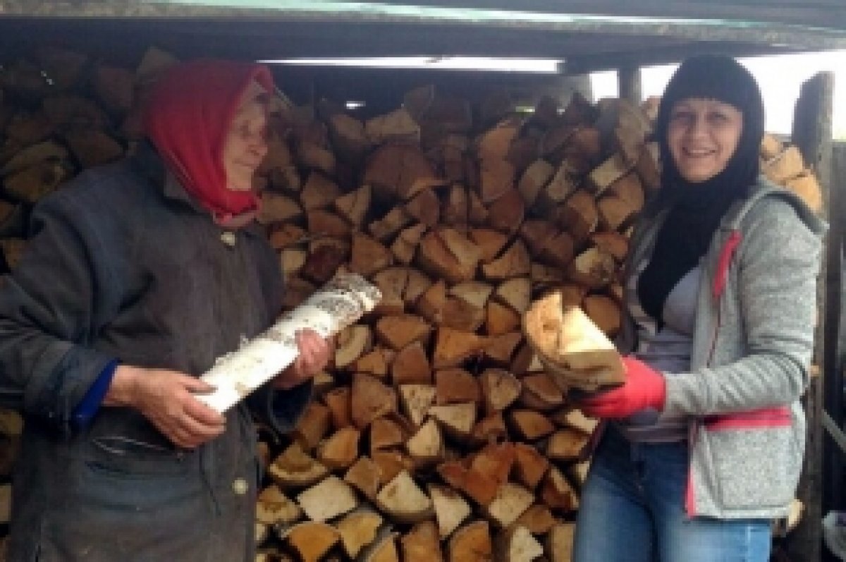    Пожилые люди часто не хотят переезжать в благоустроенные квартиры и, в силу привычки, остаются в стареньких домах. В холодное время года им часто нужна помощь с дровами.