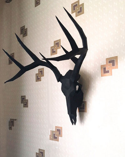 Фото из интернета 