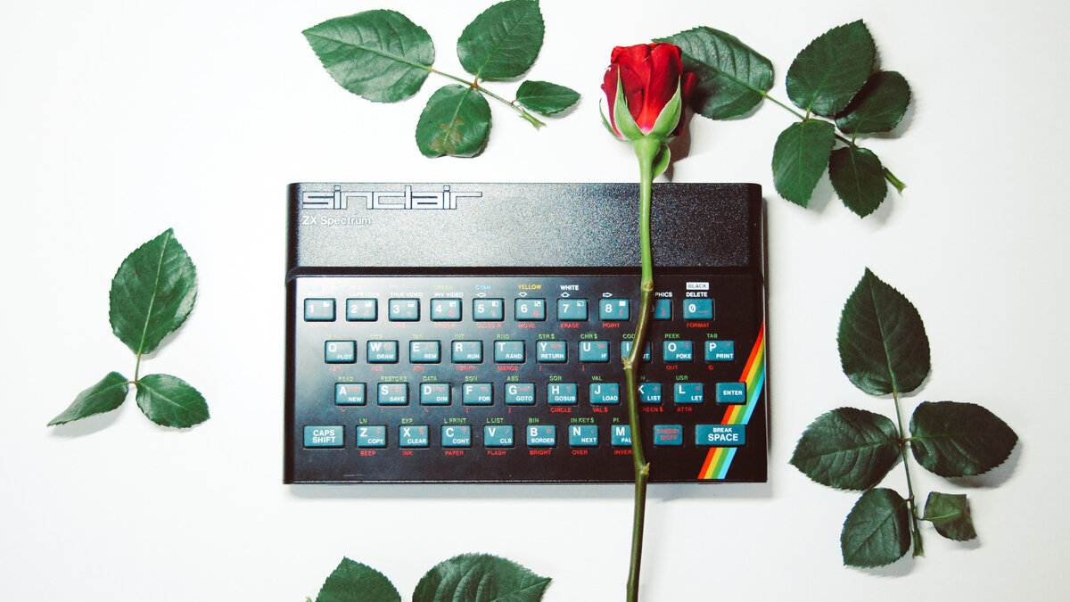 Photo by Nik on Unsplash