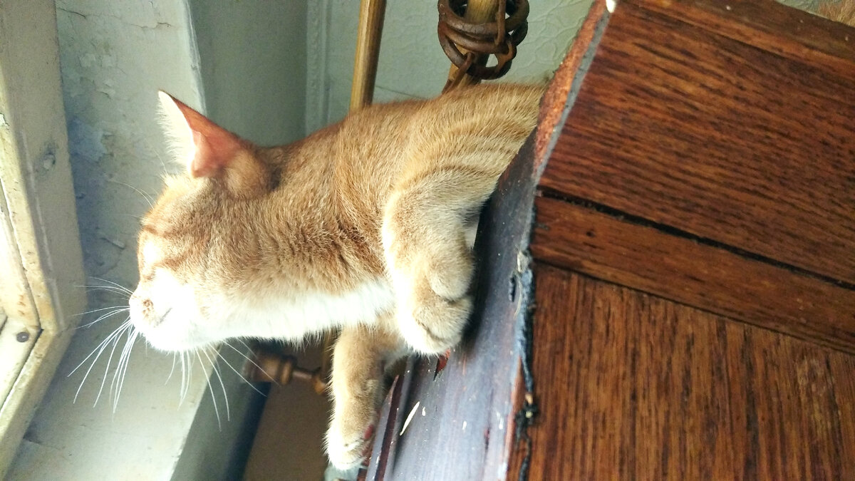 Личное  фото