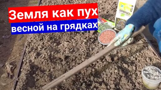 Земля будет как пух . Пять простых шагов для подготовки грядки под осень