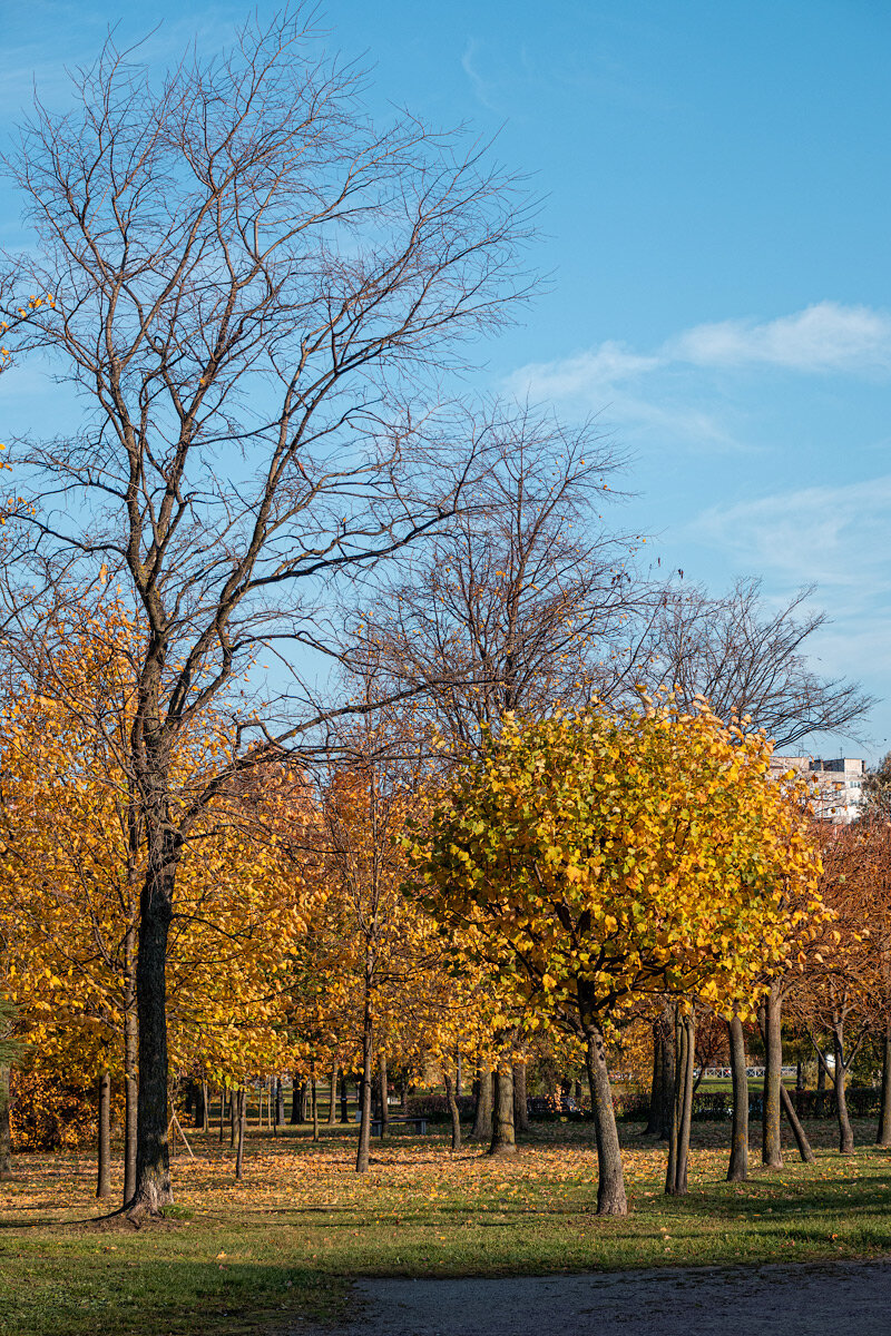 осенний парк. осень октябрь. J. осень жара. осенняя 13.