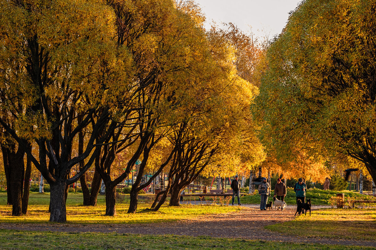 осенняя 13. осенние парки россии. осенняя 13. осень в парке бухарестская. парк осенью в пярну.