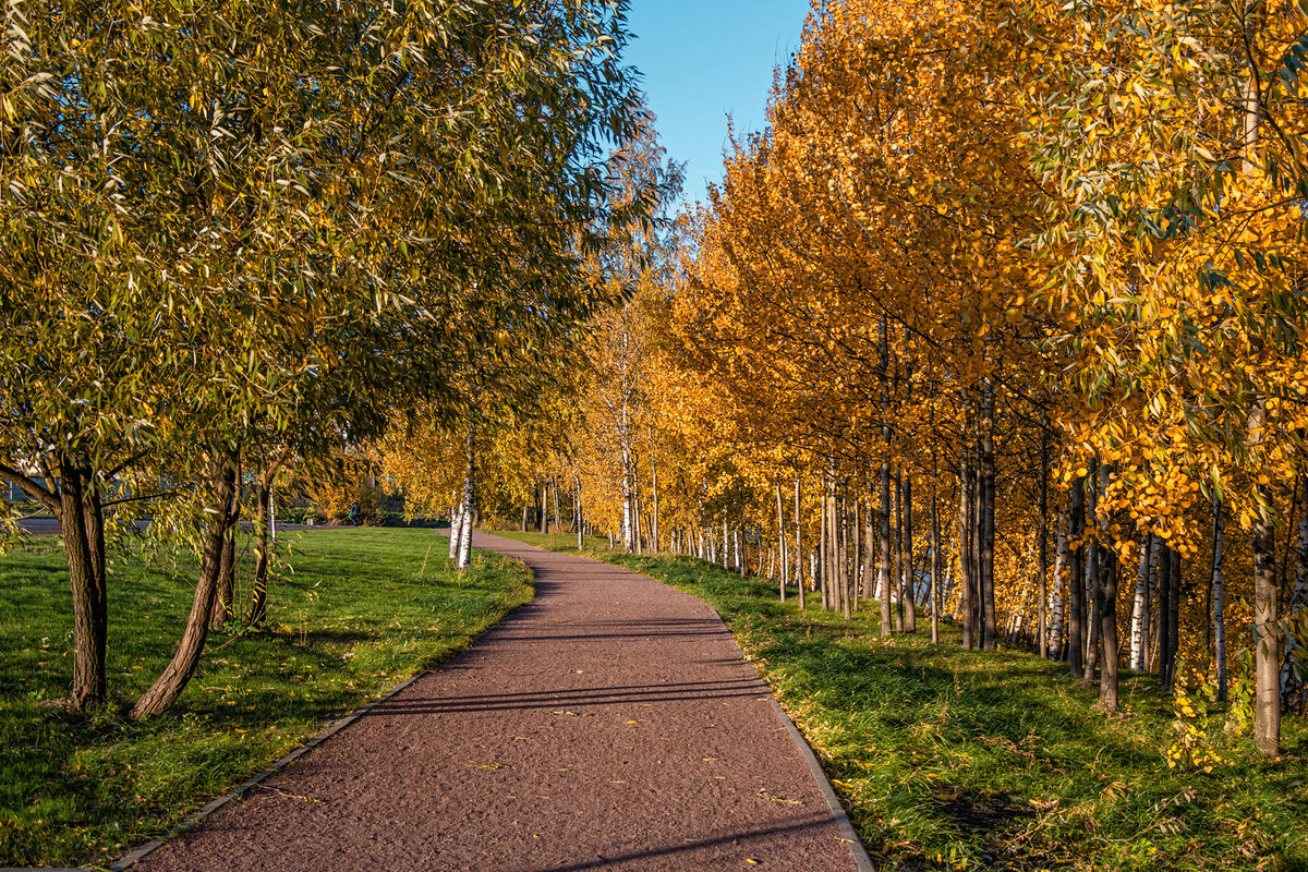 сквер центральный ртищево. черкизовский парк осень. парки россии осенью. осенняя 13. ноябрь месяц.