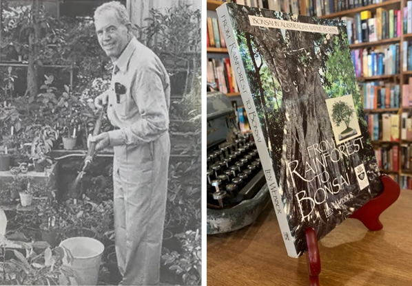 Источник: https://www.thenookyamba.com/books/rainforest-to-bonsai/