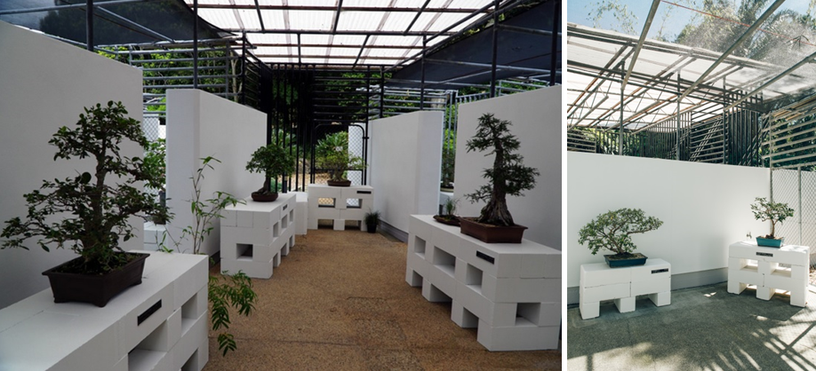 Источники: https://bimerbonsai.org.au/2018/07/13/update-from-bonsai-house-mt-coot-tha-botanic-gardens/   
https://www.haarkon.co.uk/explore-blog/bonsai-house-brisbane-botanic-gardens-mt-coot-tha-australia