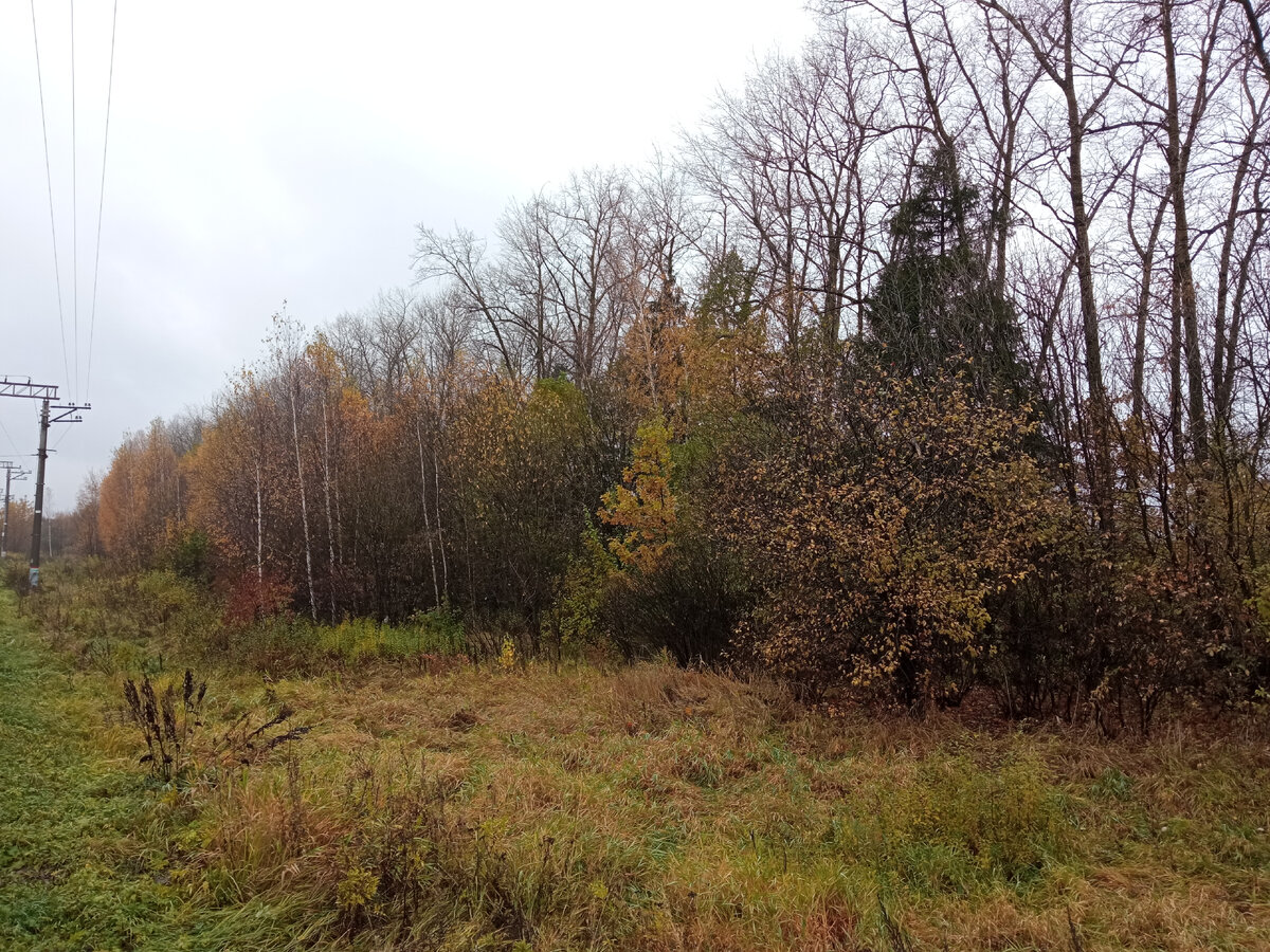 В сторону области. 