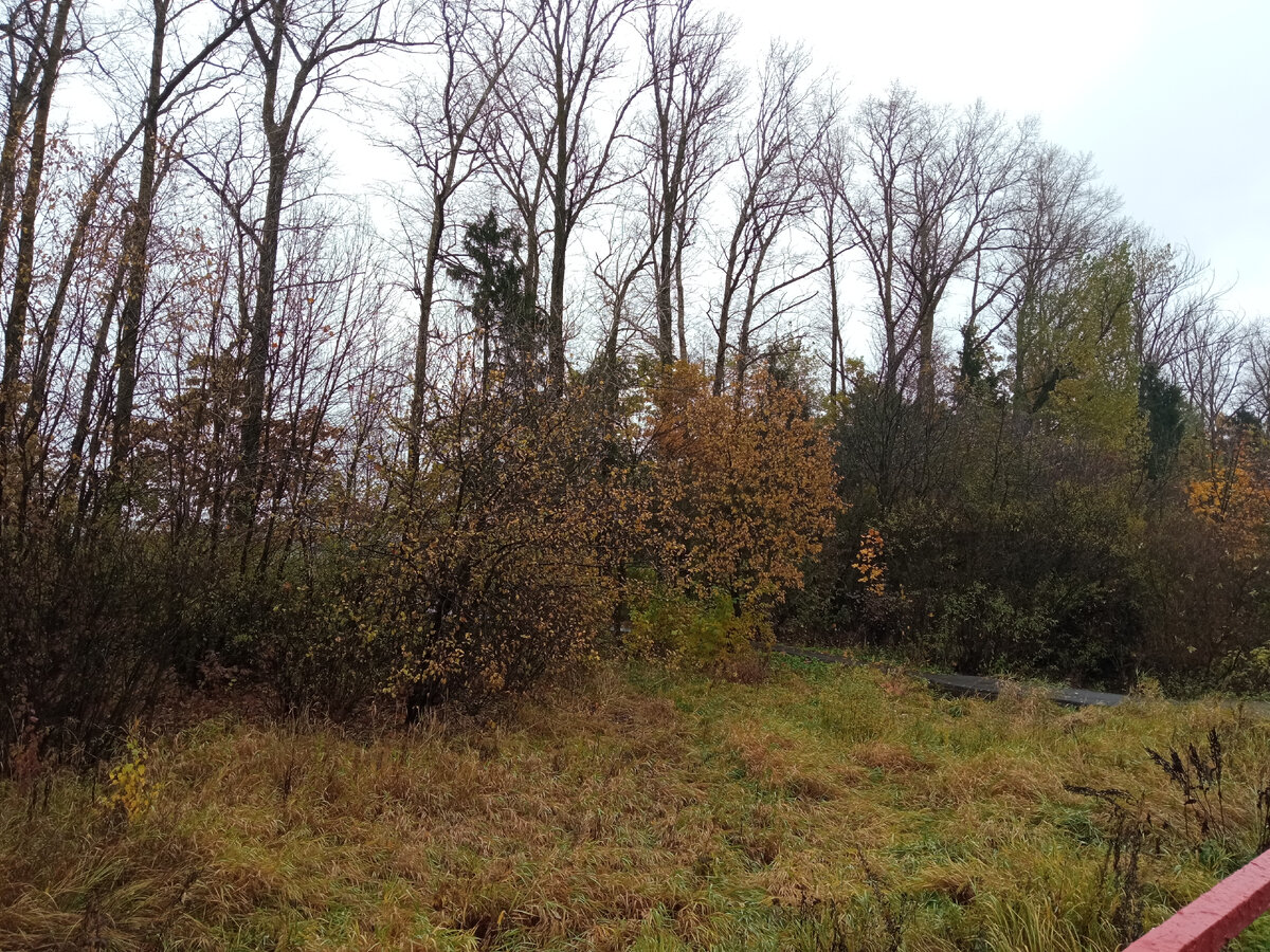 В сторону Москвы. 