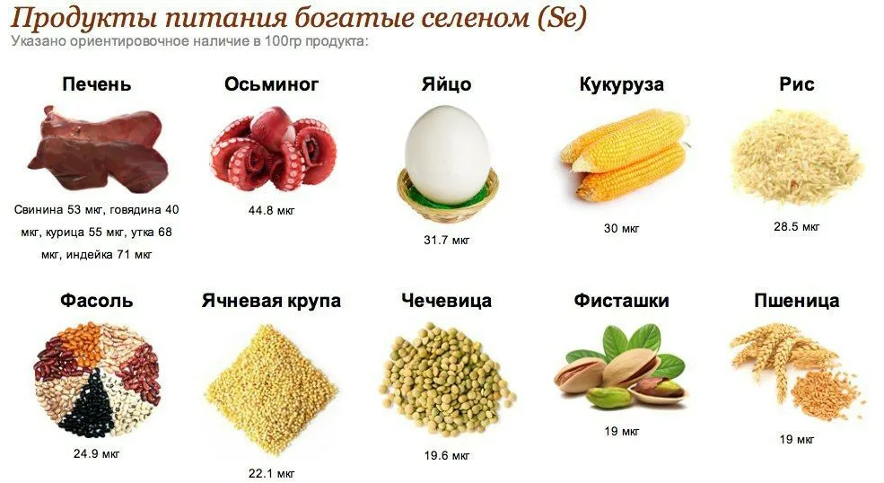 Продукты витамин селен. Продукты питания богатые селеном. Корма богатые селеном. Орехи богатые селеном. Селен минеральное вещество.