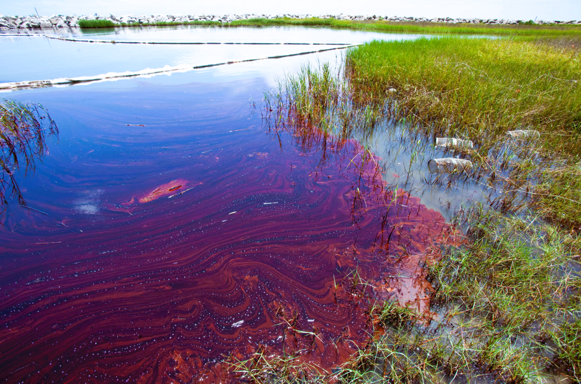 Водная проблема. Река Рио тинто Испания. Загрязнение воды. Загрязнение водоемов. Загрязнение рек и озер.