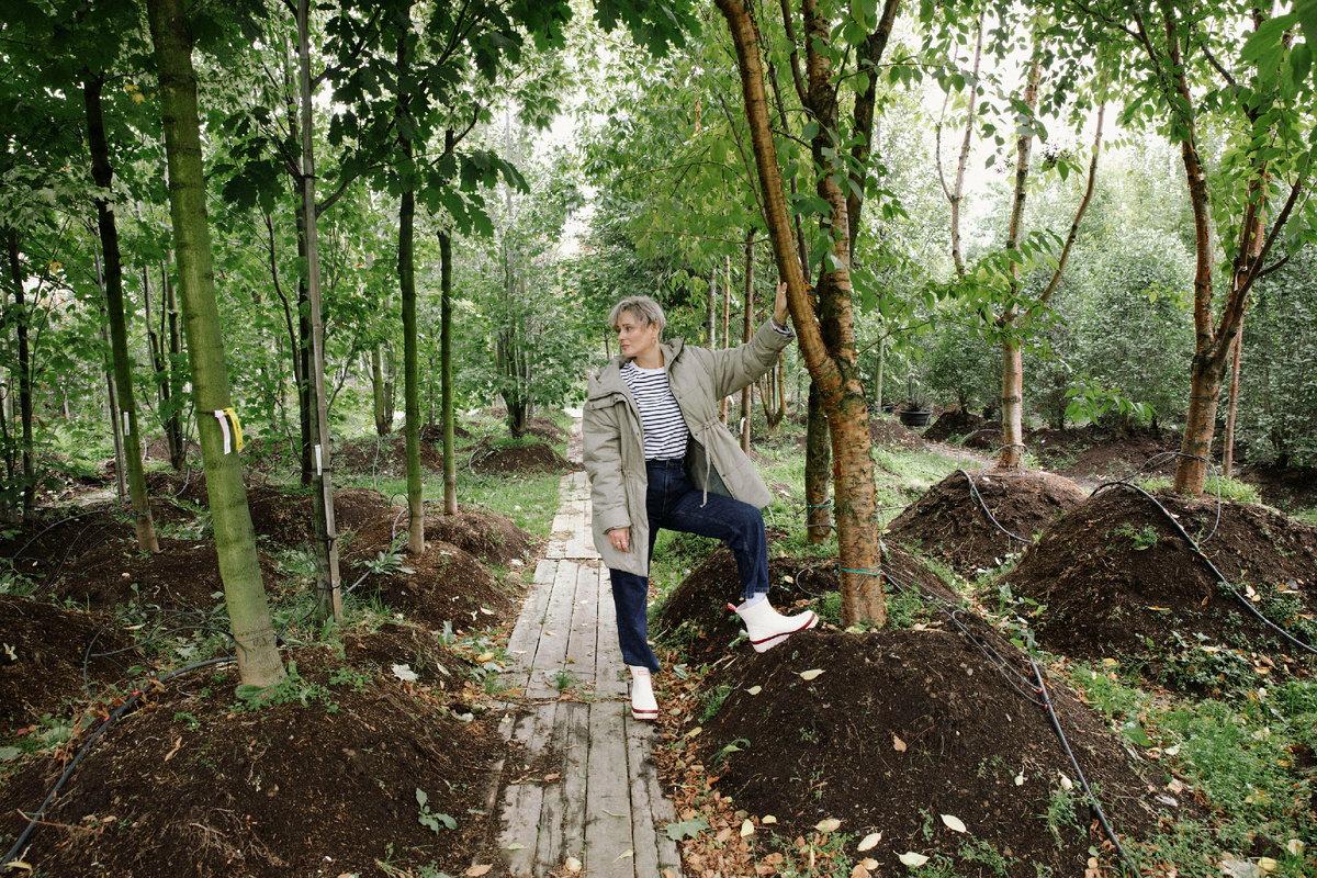 Выбираю качественные деревья в питомнике