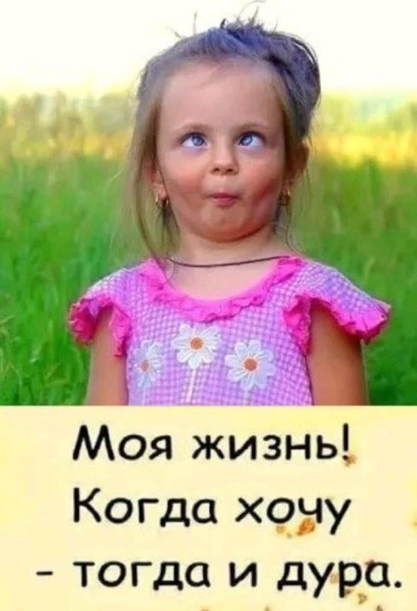 Дурочка. Дура хочу и буду дурой. Смешная дурочка. Моя жизнь когда хочу тогда и дурак. Правда жизни картинки.