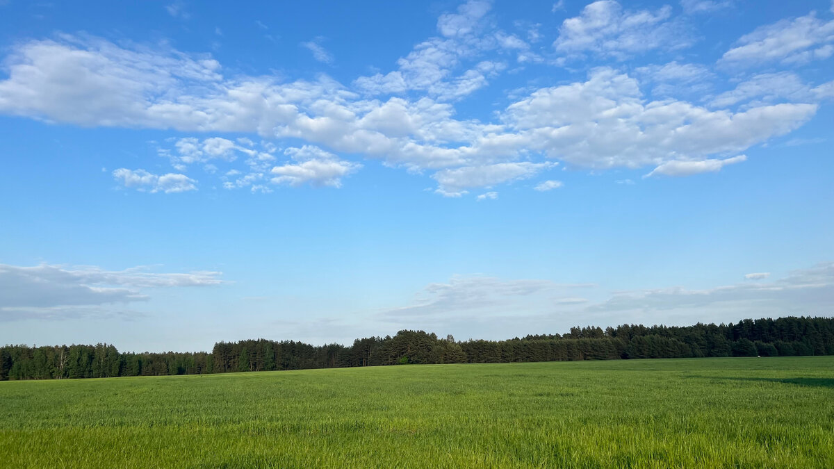 Немного красоты от автора, чтобы разбавить тему