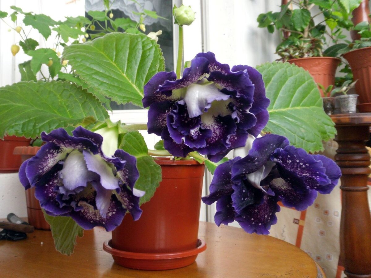 Фото: izhevsk.ru