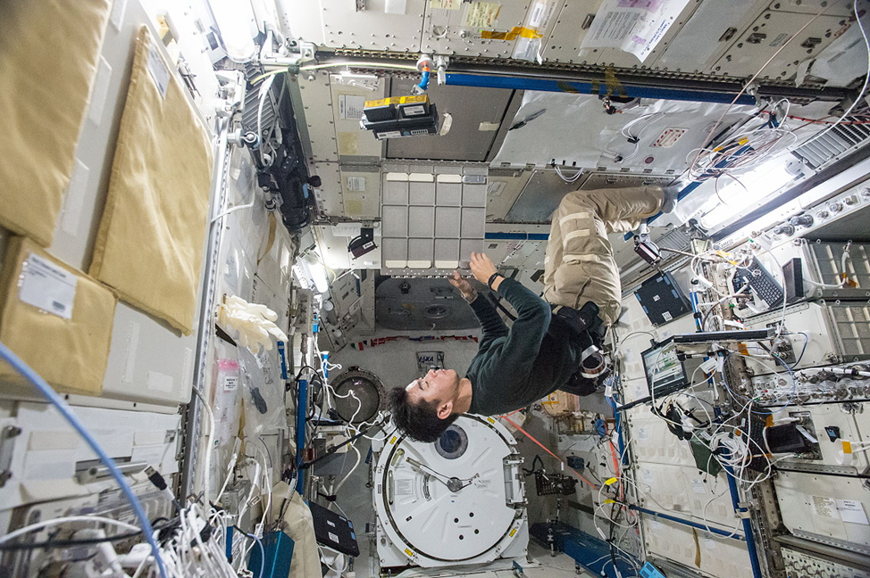 Японский астронавт работает в модуле Kibo. Фото: spacefacts.de