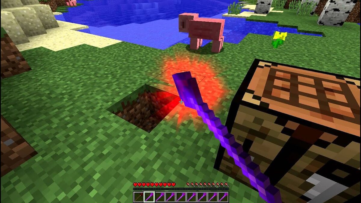 Один из видов палочки. 