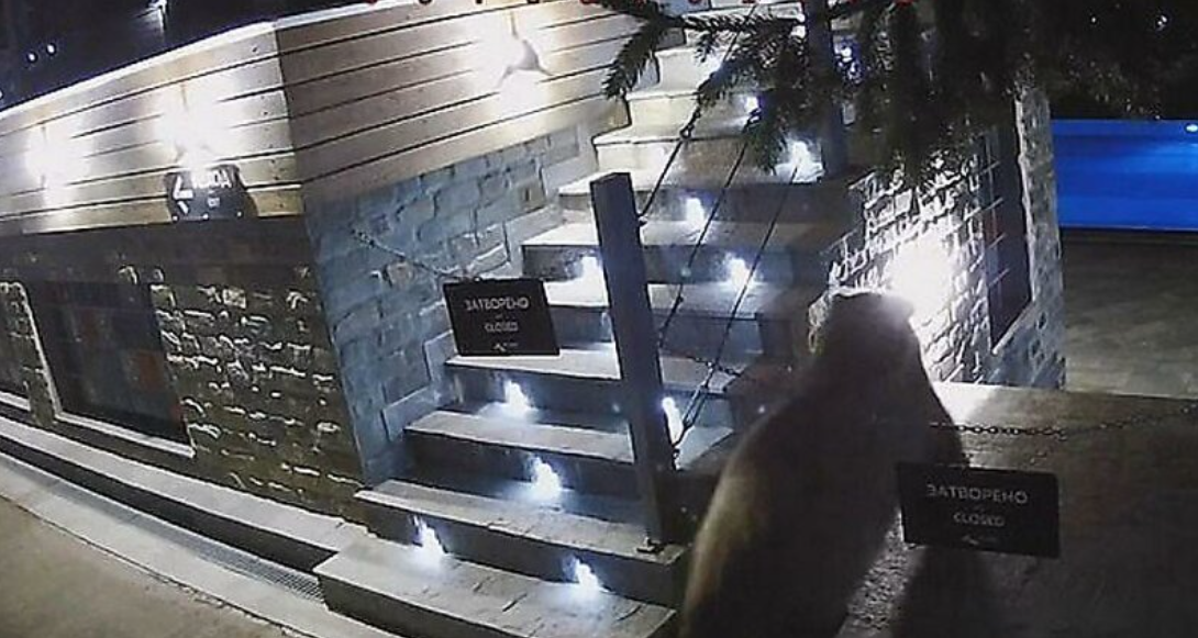 Обратите внимание на надпись на табличках)